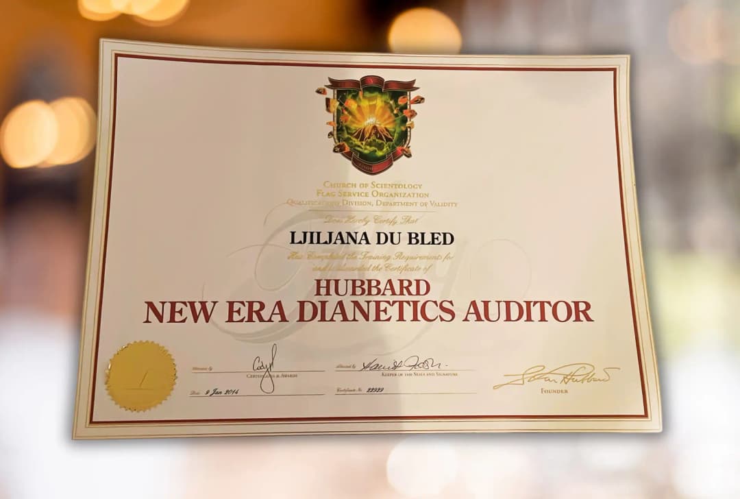 Class V Auditor